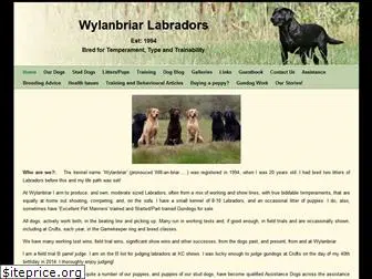 wylanbriar.com