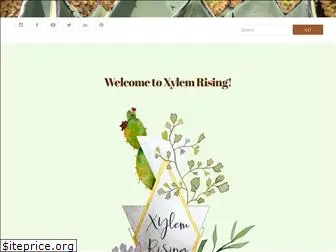 xylemrising.com