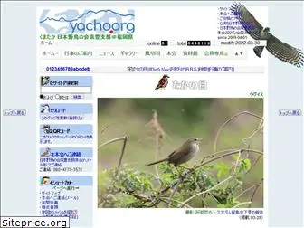 yacho.org