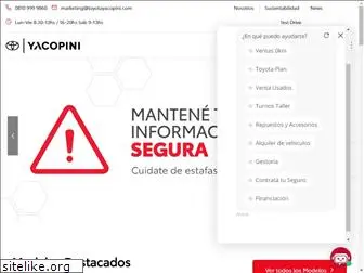 yacopinisa.com