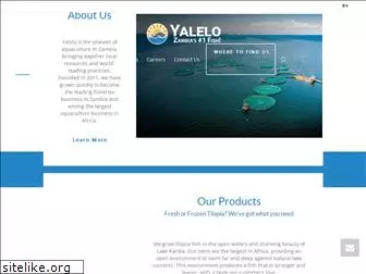 yalelo.com