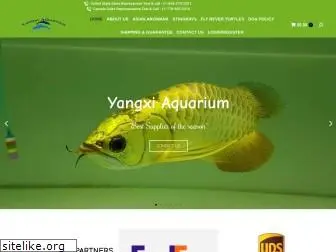 yangxi-aquarium.com