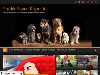 yavru-kopekler.com