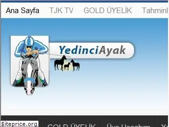 yedinciayak.com