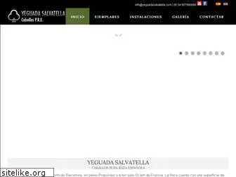 yeguadasalvatella.com