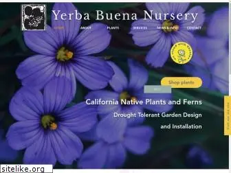 yerbabuenanursery.com