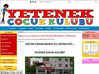 yetenekegitim.com