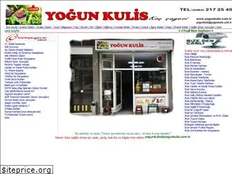 yogunkulis.com