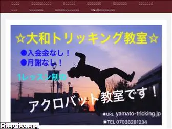 yokohama-acrobat.jp