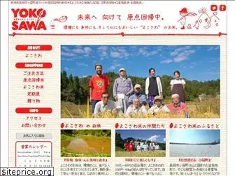 yokosawa-jau.com