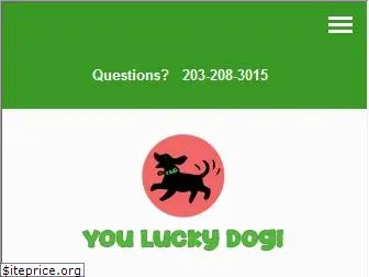 youluckydogct.com