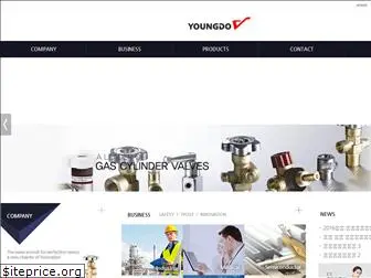 youngdovalve.com