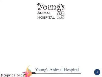 youngsanimalhospital.com