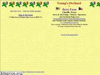 youngsorchard.com