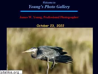 youngsphotogallery.com