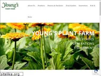 youngsplantfarm.com