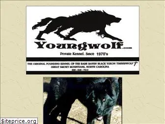 youngwolf.com