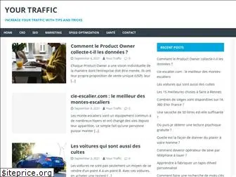 your-traffic.net