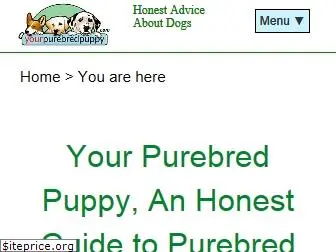 yourpurebredpuppy.com