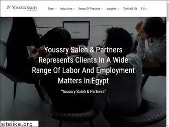 youssrysaleh.com