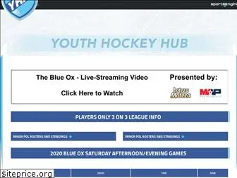 youthhockeyhub.com