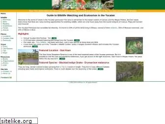 yucatanwildlife.com