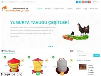 yumurtatavugu.com