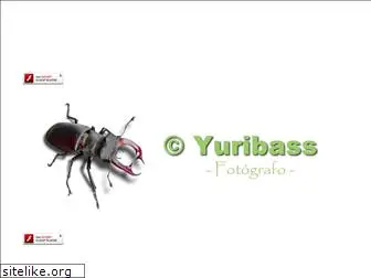 yuribass.com