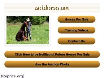 zackshorses.com