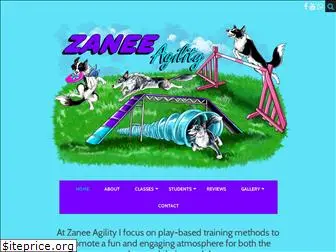 zaneeagility.com