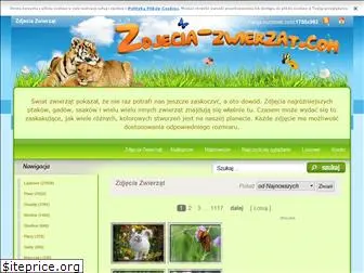 zdjecia-zwierzat.com