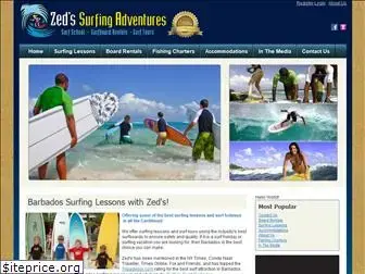 zedssurftravel.com