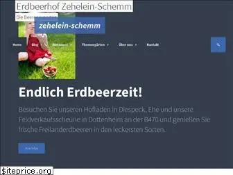 zehelein-schemm.de