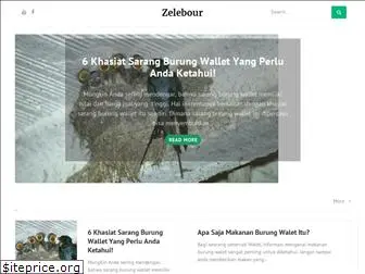 zelebour.com