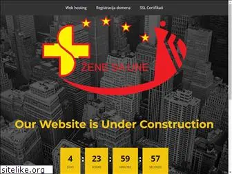 zenesaune.org