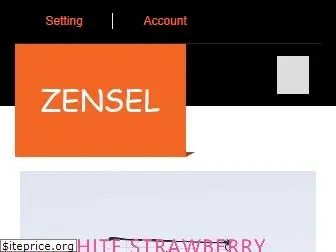 zensel.com