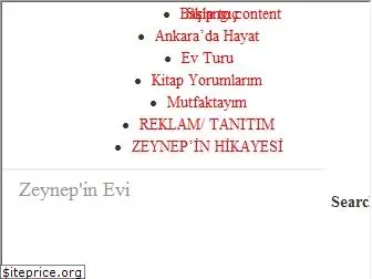 zeynepinevi.com