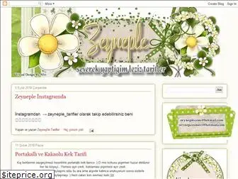zeyneple.blogspot.com.tr