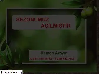 zeytinfidanmerkezi.com