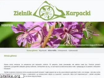 zielnik-karpacki.pl