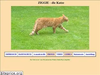 ziggie.de