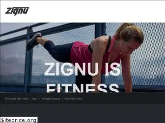 zignu.com