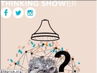 zincshower.com