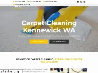 zioncarpetcleaning.com