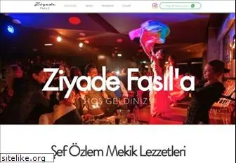 ziyadefasil.com