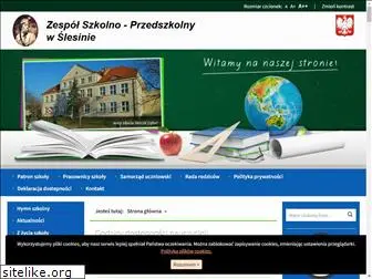 zspslesin.pl