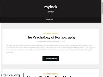 zsylock.com