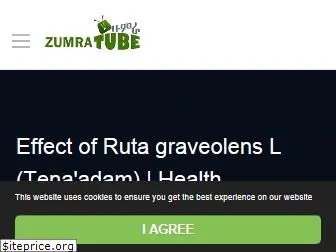 zumratube.com