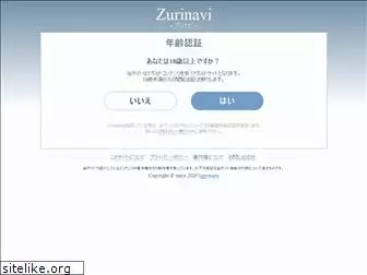 zurinavi.com
