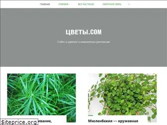 zvety.com